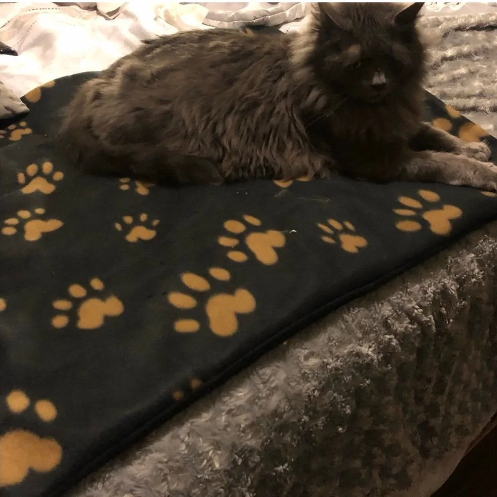 Cat Fleece Reversible Blanket size 22”x26”